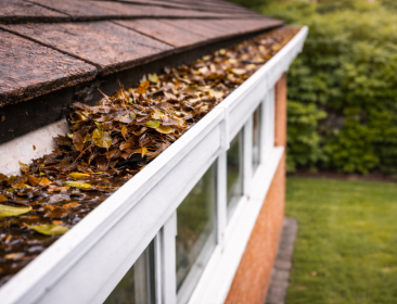 Blocked gutters can lead to damp and water damage. Our professional gutter clearing service removes leaves and debris efficiently, helping rainwater flow freely and protecting your home from costly issues.